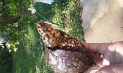 20160504_101450.jpg