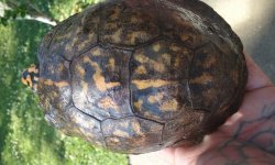 20160504_101457.jpg
