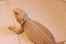 IMG_0264.jpg