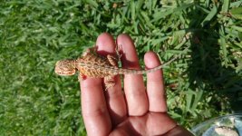 20160420_134959.jpg