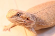 IMG_0263.jpg