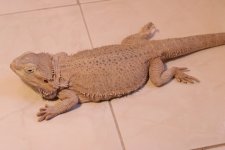 IMG_0273.jpg