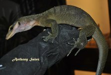 DSC_0209.JPG