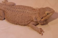 IMG_0274.jpg