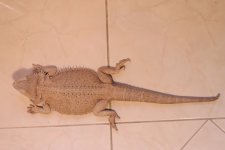IMG_0272.jpg