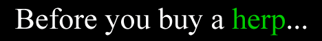 boibanner1.gif
