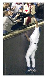 cubfan1.jpg
