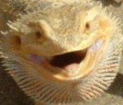 thorface.jpg