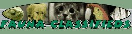 polished_logo.jpg