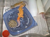 IMG_0204.jpg