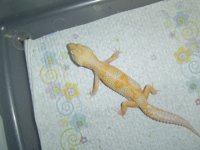 dsc01002.jpg