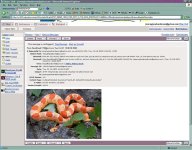 email2.jpg