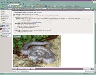 email4.jpg
