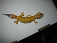 img_0031.jpg