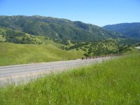 IMG_1773.JPG