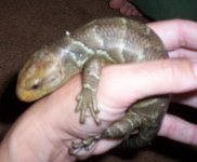 Closeup of baby small.JPG