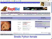 herpcorner1.jpg