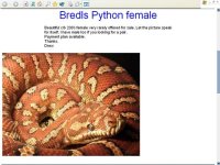 herpcorner2.jpg