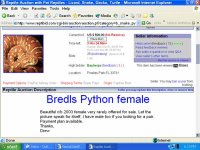 bredl.jpg