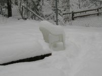 Spring.JPG
