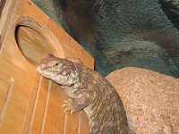 IMG_0383.JPG