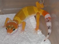 2005 Babies 071.jpg