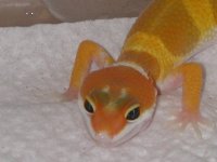 2005 Babies 070.jpg