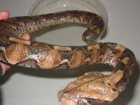 110-1042_img.jpg