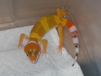 2005 Babies 072.jpg