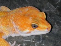 King 028.jpg