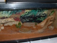 gecko 010.jpg