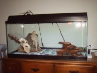 stoner and mj pics 004.jpg