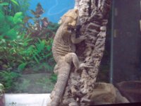 stoner and mj pics 009.jpg