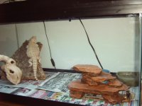 stoner and mj pics 005.jpg