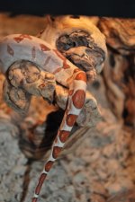 2010 babies 031.jpg