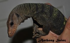 DSC_0277.JPG