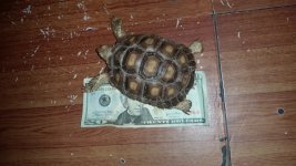 20160705_160255.jpg