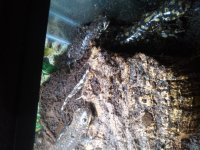 20160523_093048.jpg
