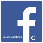 F_icon.svgfaunalogonew50%.png