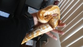 20160518_094614.jpg
