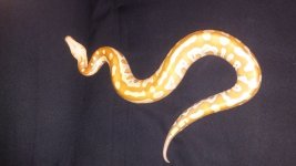 20160518_094546.jpg