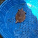 IMG_20160816_143754.jpg