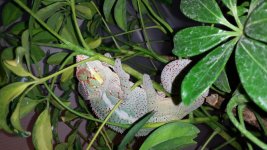20160407_061134.jpg