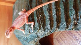 20160224_112357.jpg