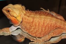 20160529144301.jpg