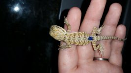20160723_230959.jpg