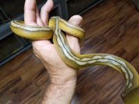 20160531_174957.jpg