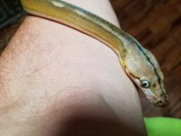 20160531_175017.jpg