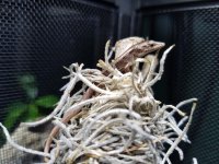20160628_201620.jpg