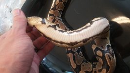 20160324_143329.jpg